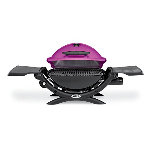 Weber 51060001 Q1200 Liquid Propane Grill Barbecue smokers and grills, indoor stoves and